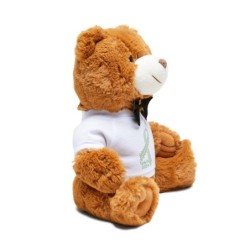 2024 Limited Edition -Teddy Bear - Orange